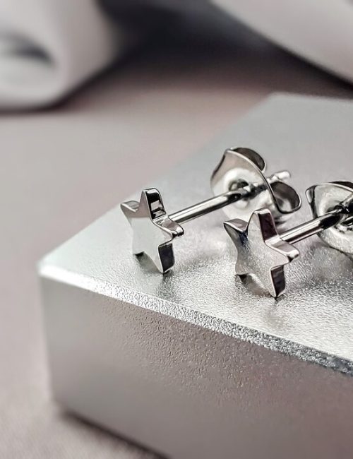 Surgical Steel Star Studs